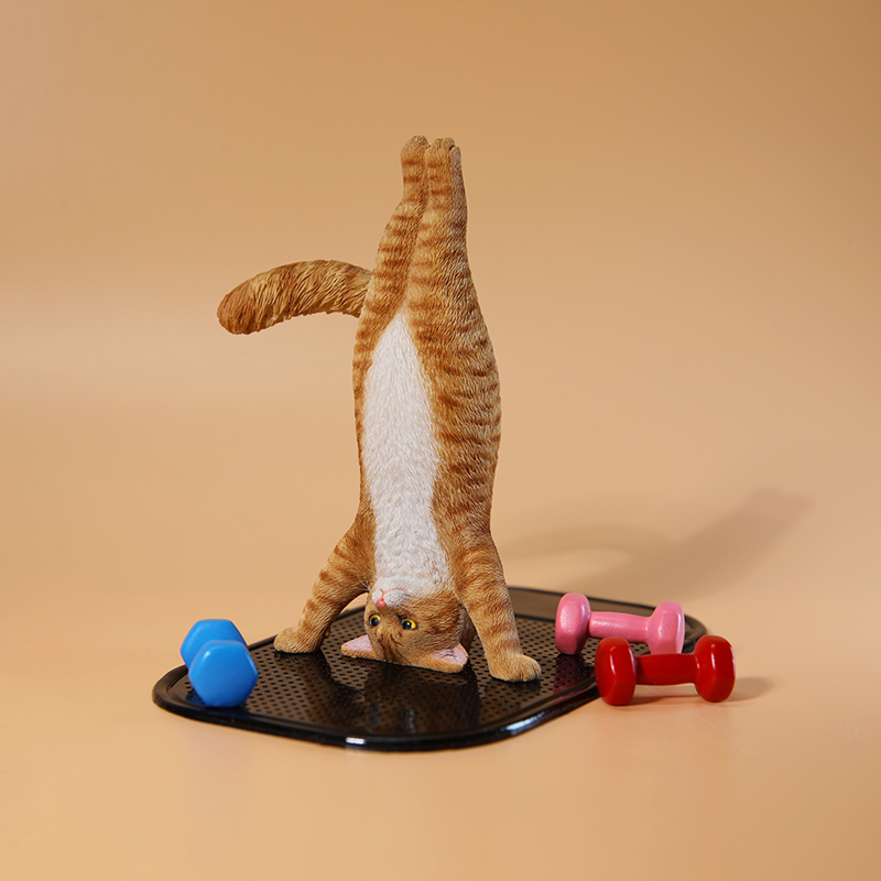 Mini gato de Fitness simulado  - Yoga Fitness First reseña y precio